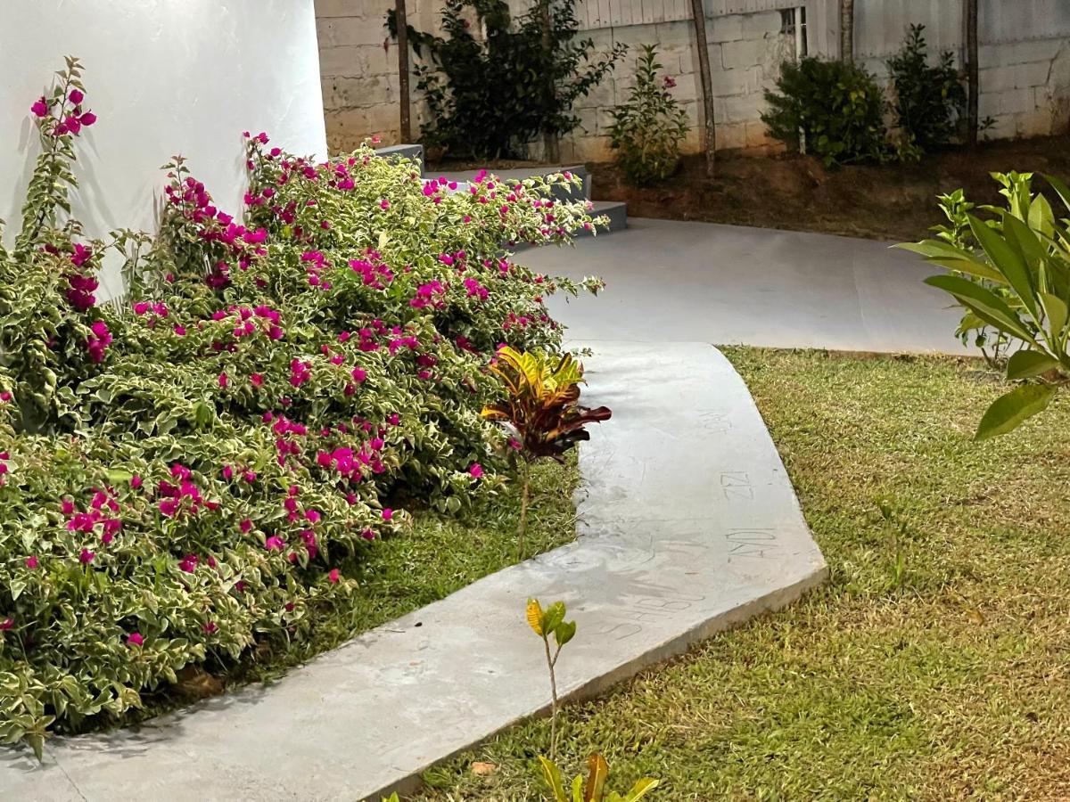 Aydiz Apartments Nadi Exteriér fotografie